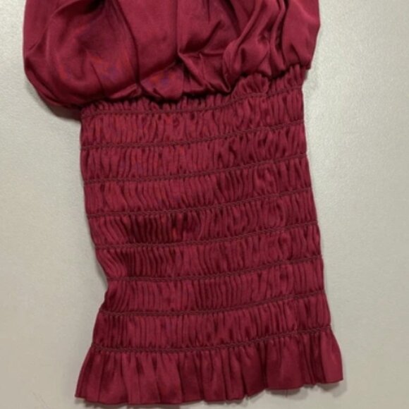 Robert Graham Womens Blouse Jordyn Silk Blend Burgundy V-Neck Smock Cuffs Size M - Picture 3 of 8